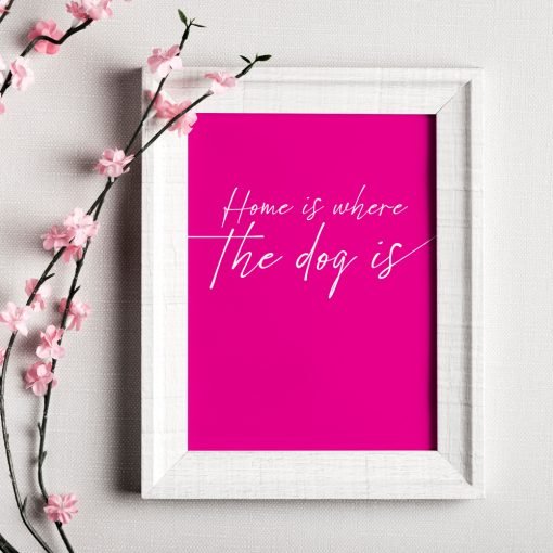 Home is where the dog is - Image 3