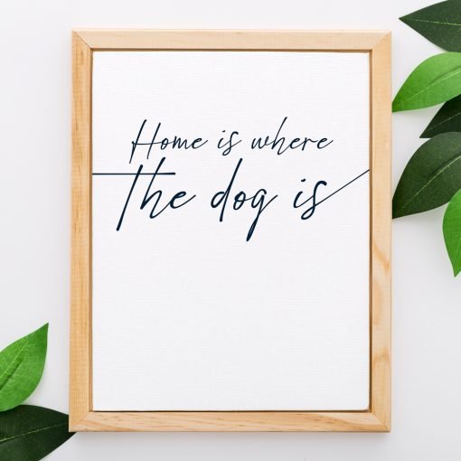 Home is where the dog is - Image 2